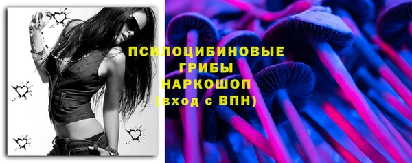 прущий лед Арсеньев
