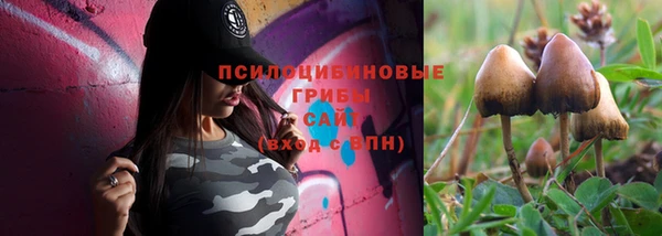 эйфоретик Армянск