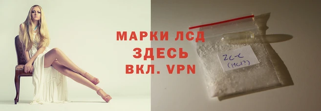 дурь Аркадак