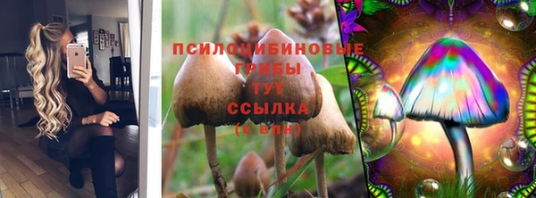 дурь Аркадак