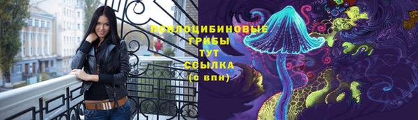 дурь Аркадак