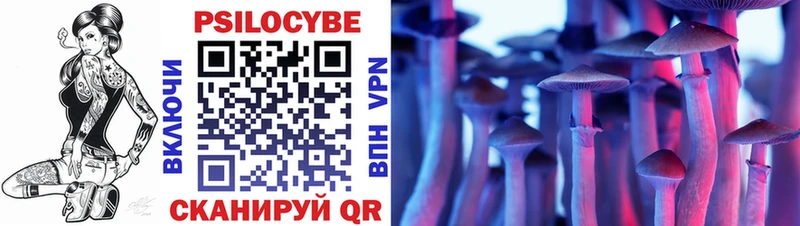 Галлюциногенные грибы Cubensis  дарк нет как зайти  Нововоронеж 