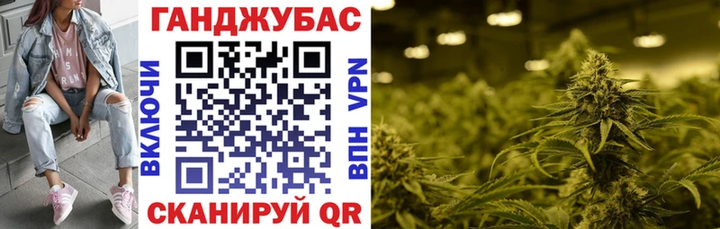 Шишки марихуана семена  цены   omg рабочий сайт  Нововоронеж 